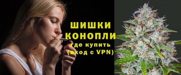 прущая мука Нея