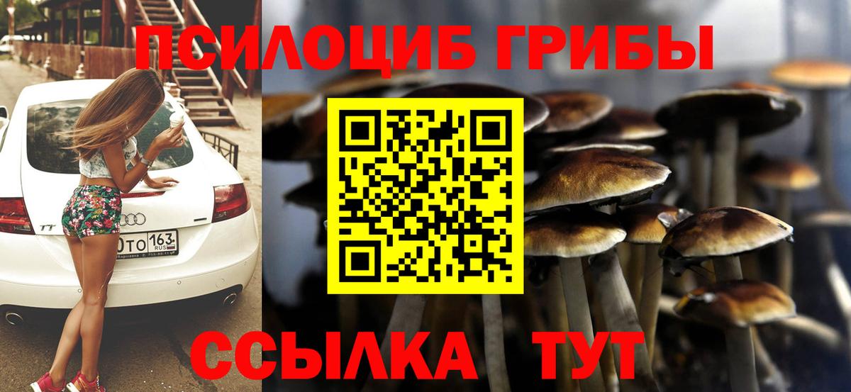 Псилоцибиновые грибы Magic Shrooms  Псилоцибиновые грибы Magic Shrooms  Вход с VPN  цена наркотик  Каспийск 