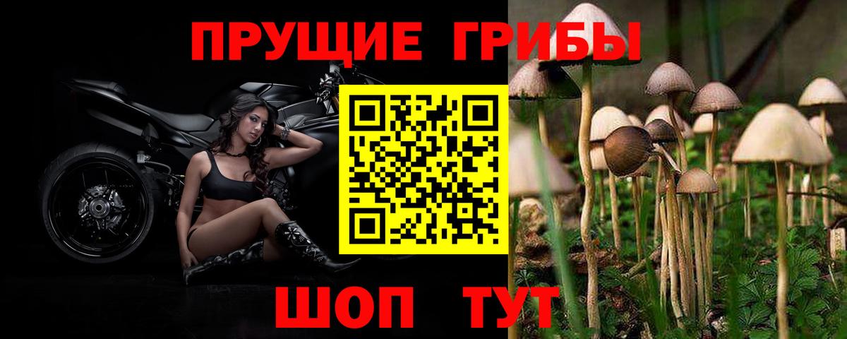 Галлюциногенные грибы GOLDEN TEACHER Каспийск